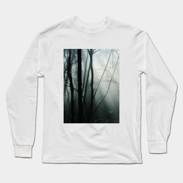 Moody Forest Long Sleeve T-Shirt by Hemeria